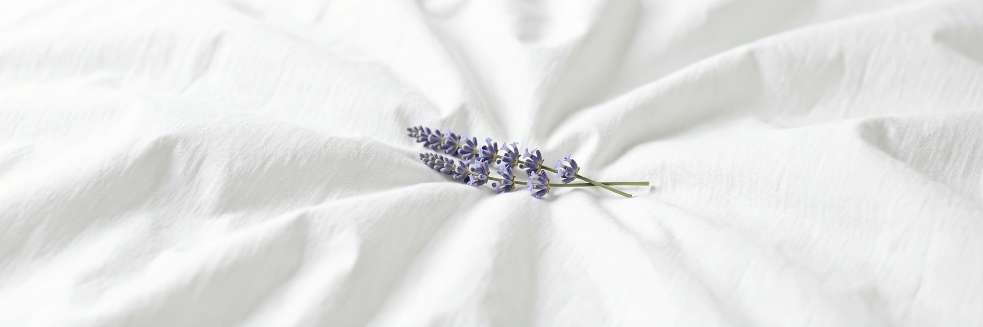 Environnement de repos serein